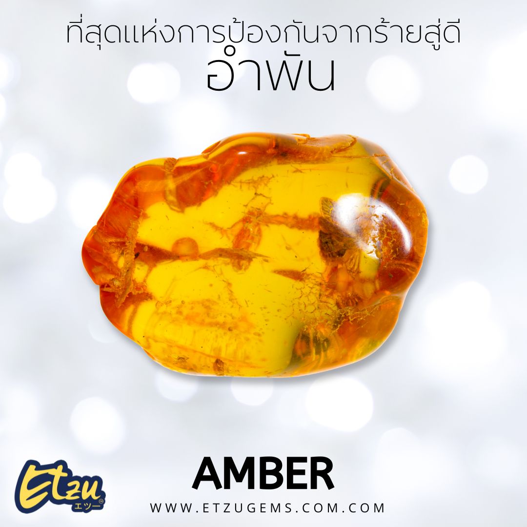 อำพัน Amber