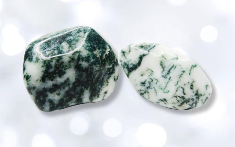 ทรีอาเกต Tree Agate พบความสงบภายในผ่านสัมผัสแห่งผืนดิน