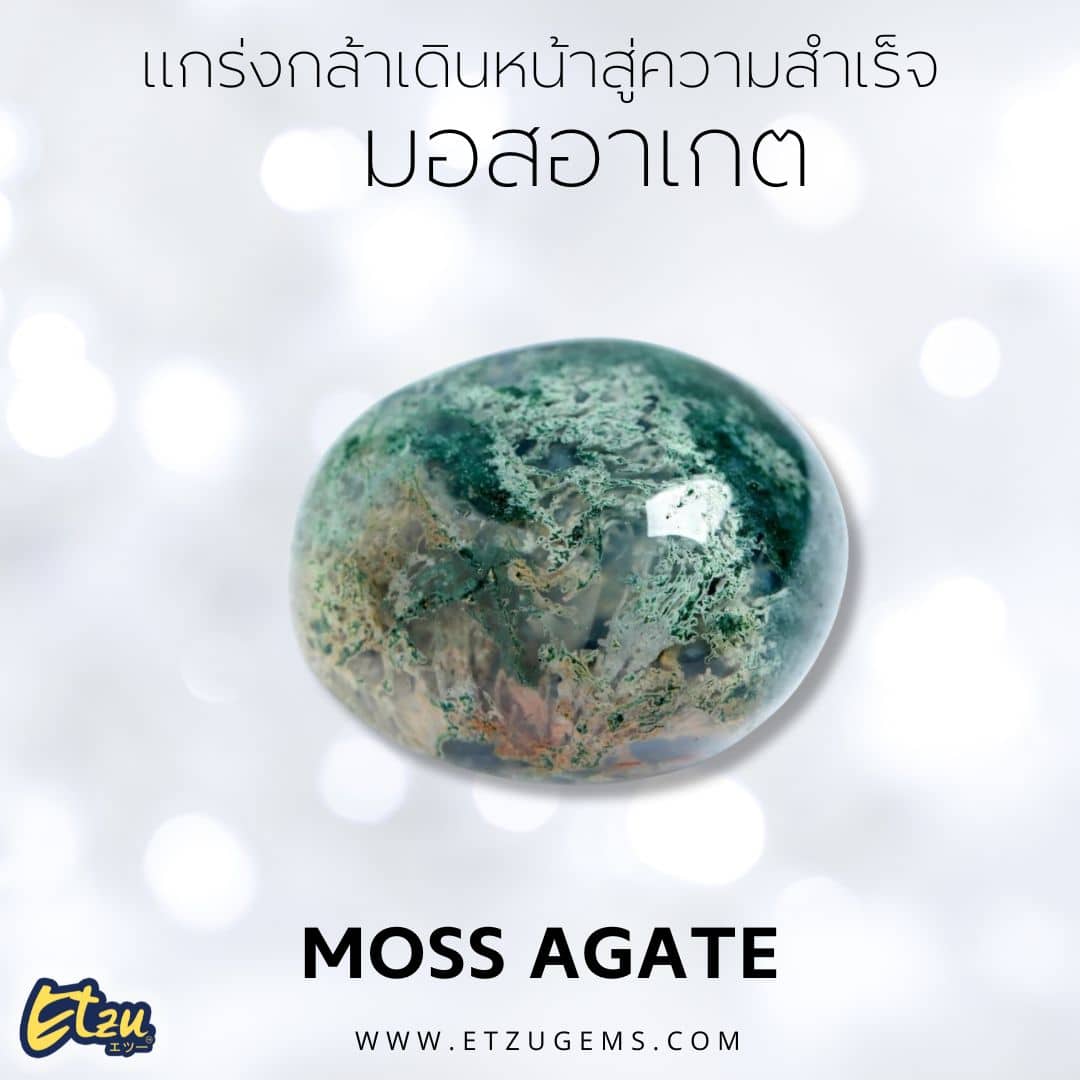 มอสอาเกต Moss Agate