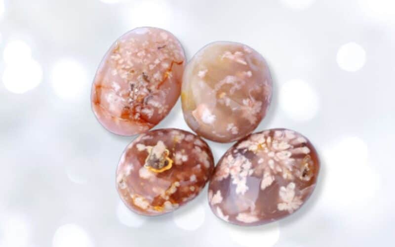 ฟลาวเวอร์อาเกต Flower Agate ส่งผ่านความสงบด้วยเสน่ห์แห่งผลึก