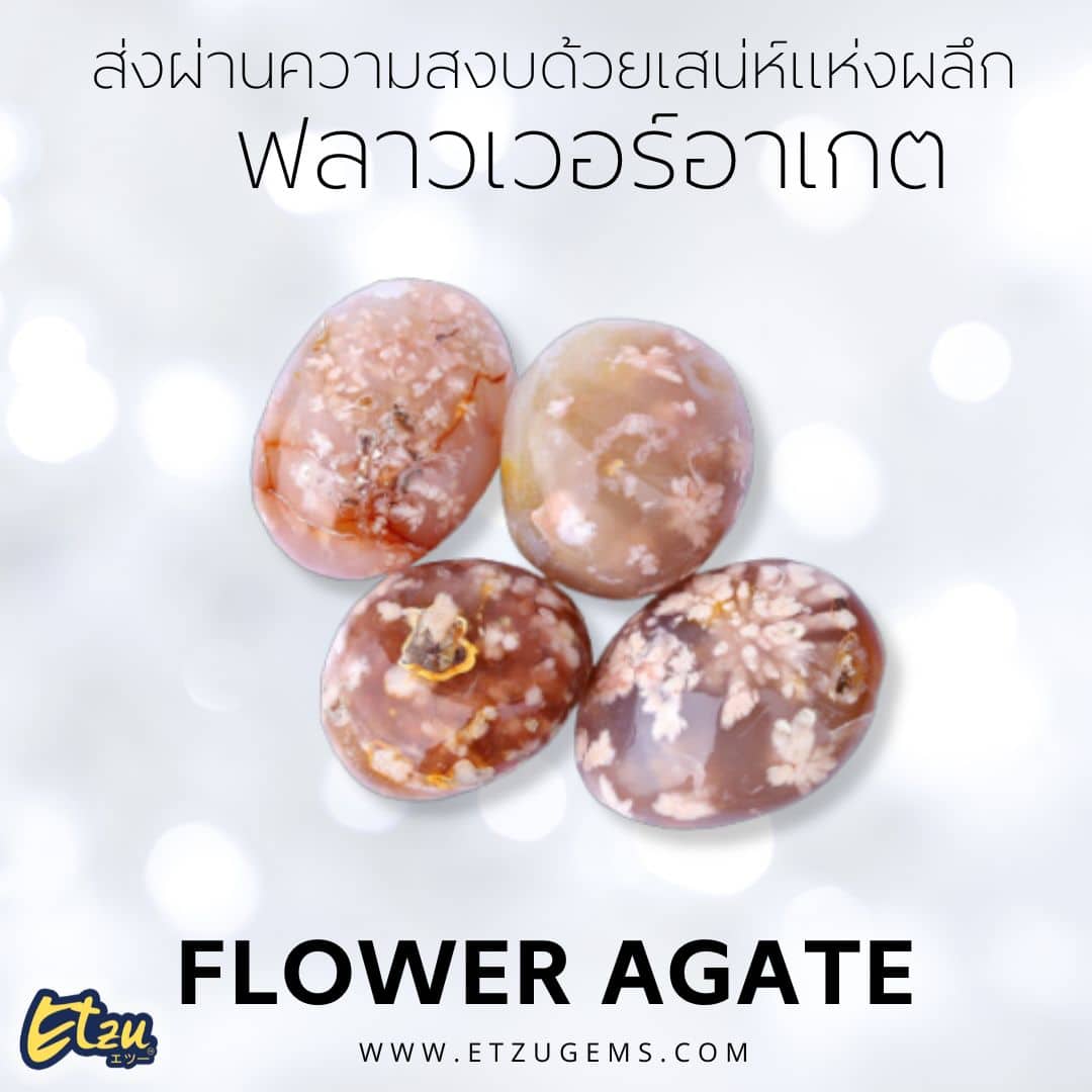 ฟลาวเวอร์อาเกต Flower Agate